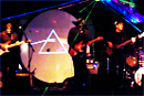 pink floyd tribute band laser show
